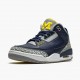 Cheap Air Jordans 3 Retro Michigan Black/University Gold Cement G AJ3-820064