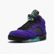 Cheap Air Jordans 5 Retro Alternate Grape Grape Ice/Black Clear New Emer 136027-500