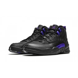 Cheap Air Jordans 12 "Dark Concord" BLACK/BLACK-DARK CONCORD Mens CT8013 005